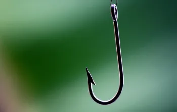 Fish hook