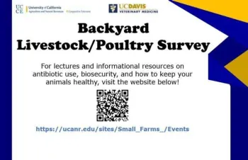 Backyard Poultry Survey
