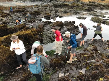 Naturalists Observing Tide Pools