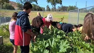 WP 20190822 15 51 57 ProRR