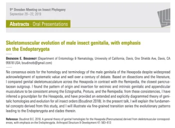 This is the abstract of Brendon Boudinot's lecture Sept. 20 at an international conference on insect phylogeny in Germany.