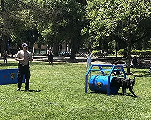 police dog demonstration
