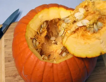 Photo of pumpkin cut, showing seeds inside by Master Gardener, Michele Martinez.