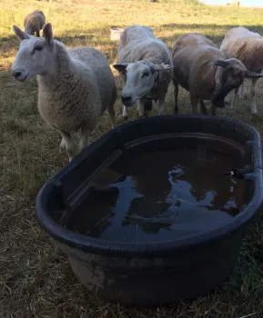 2017-06-22 18.30.12 HDR (2)