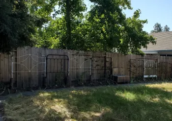 Berries on headboard trellis