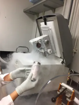 Frozen samples were processed and sequenced by researchers at the Energy Department's Joint Genome Institute (JGI). (Photo: Peggy Lemaux)