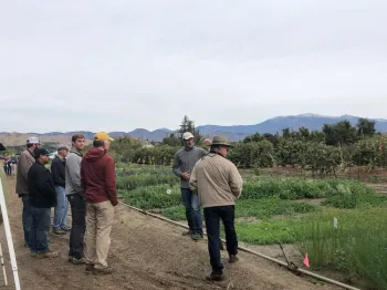 UCCE Advisor Oleg Daugovish explaining benefits of low profile cover crops. Photo credit Rose Hayden-Smith.