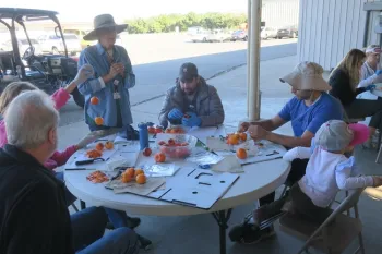 Prepping fruit