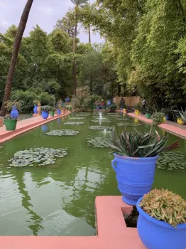 Long fountain pond landscaped with squares of water lillies