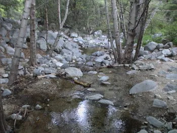 Arroyo Seco above Pasadena. Photo by S. Drill