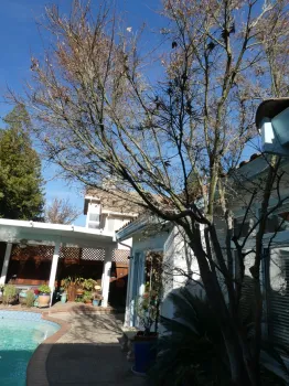 photos by Launa Herrmann