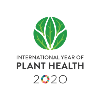 IYPH2020 Logo Vertical EN