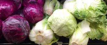 cabbages - 2472015_1920 Evita Ochel from Pixabay crop long