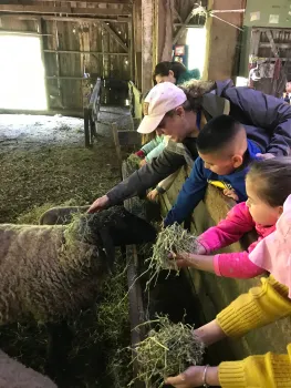 Feeding our flock of sheep is always a highlight!