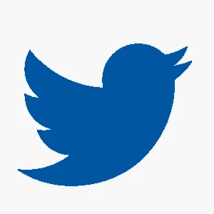 Twitter Link