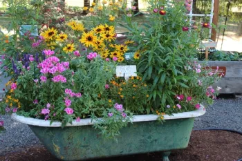 Stuck at home? Try making a creative container. (photo by Heidi Aufdermaur)