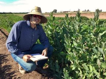 Staff Research Associate, Juan Buenrostro taking field data on lettuce trial lead by Dr. Richard Michelmore from UC Davis.