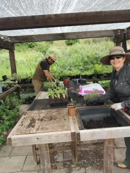 Tomato Growing for OUSD