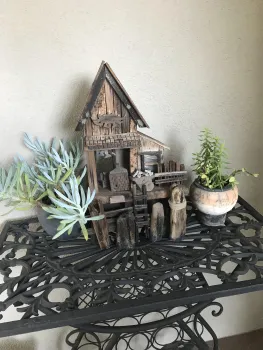 Succulent Mini House by Shirley D'Addio