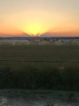 Tulelake sun