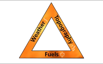 098E29C3-1DD8-B71B-0BCC9585E8766B60