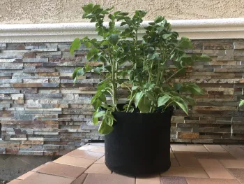 A simple fabric container