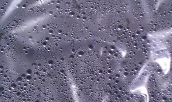 Condensation under the plastic, J. Alosi