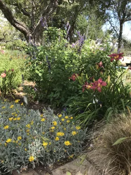 perennial garden