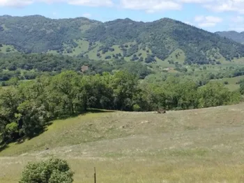 These soils at the Hopland Research and Extension Center, Mendocino County, hold special research interest for Allie Igwe. Top portion of the photo shows non-serpentine soil and lower&nbsp;portion, serpentine soil. (Photo by Allie Igwe)