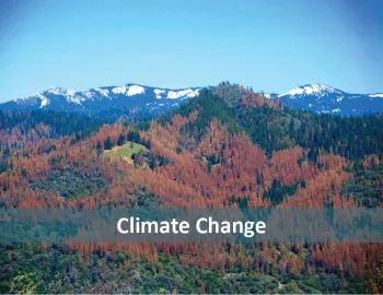 climate change