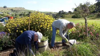 Blackie's Pasture MG workers_169