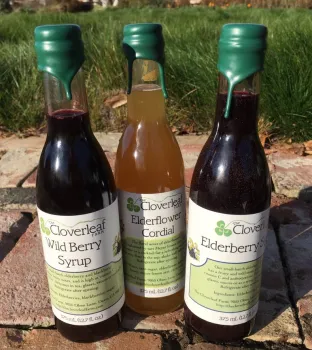 Elderberry syrup products from Cloverleaf Farms