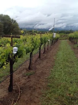 El Dorado Fair Play Station