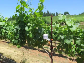 El Dorado Lava Cap Station