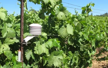 Amador Renwood Station