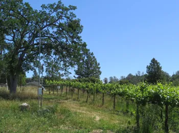 Calaveras Ironstone Station