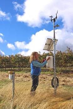 Lynn Wunderlich Explaining Grape Powdery Mildew Monitoring Station.