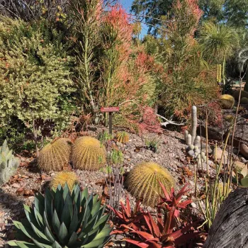 Safe Distance Safety Photo