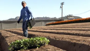 Pequeños productores