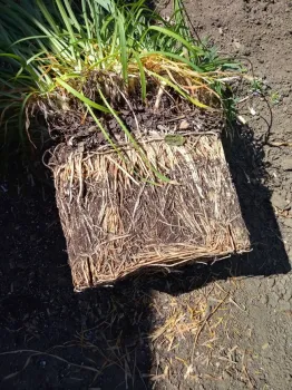 photos by Jenni Dodini