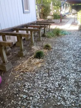 photo by Jenni Dodini