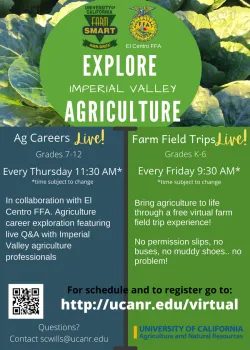 flyer with description of virtual programs