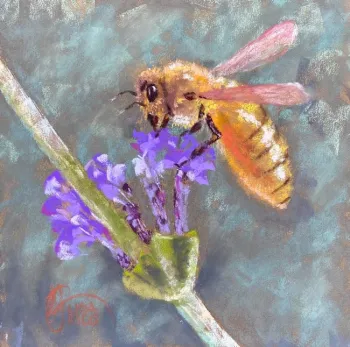 Lisa Rico's painting of a honey bee nectaring on lavender is based on a photo by Kathy Keatley Garvey.