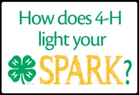 4-H SPARK