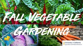 fall gardening thumbnail