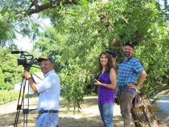 3 people with cameras filming in a vineyard location.