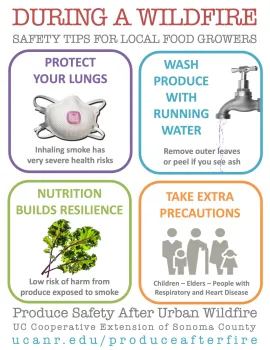 During a Wildfire Produce Safety