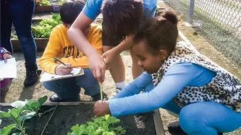 Grow your own fruits and vegetables to cut down on fuel used to transport food. Photo: Kelley Brian, Courtesy of UC Regents