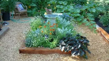 Intersperse flowering plants with food crops to attract pollinators and other beneficial insects.