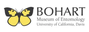 Bohart Museum logo shows the California state insect, the dogface butterfly.